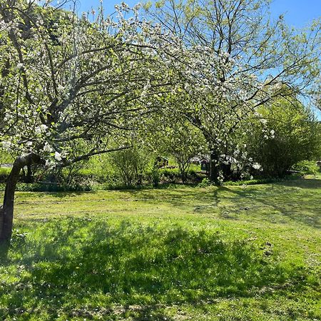 Les Pieds Dans L'Eau, Gite Le Blagour Lachapelle-Auzac Exterior foto